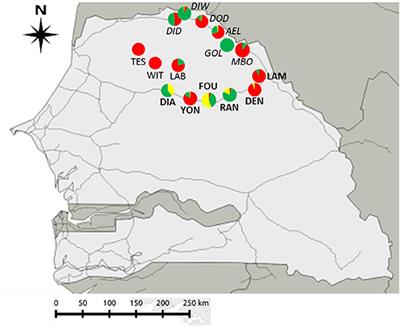 Same Invasion, Different Routes: Helminth Assemblages May Favor the Invasion Success of the House Mouse in Senegal